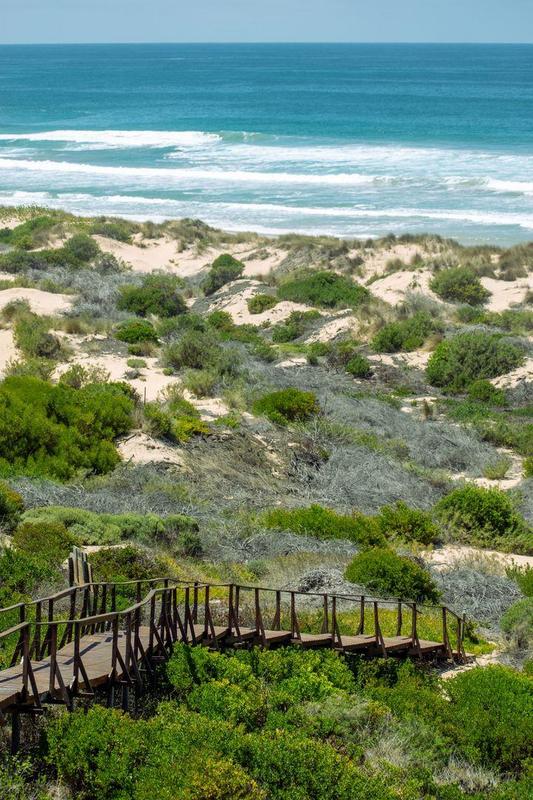 0 Bedroom Property for Sale in Moquini Western Cape